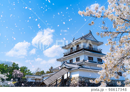 【桜吹雪素材】春の白石城と桜吹雪【宮城県】 【桜吹雪素材】春の白石城と桜吹雪【宮城県】 98617348