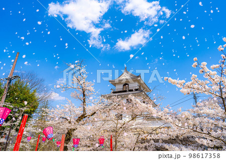 【桜吹雪素材】春の白石城と桜吹雪【宮城県】 98617358