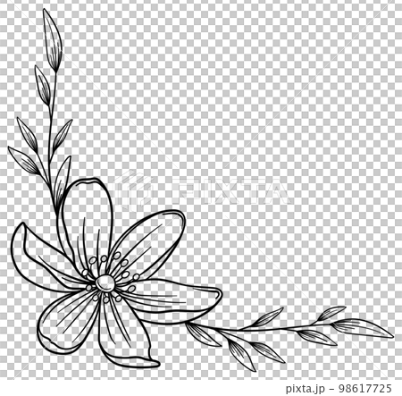 Botanical frames and corners of delicate plants and flowers Vector material Botanical frames and corners of delicate plants and flowers Vector material 98617725