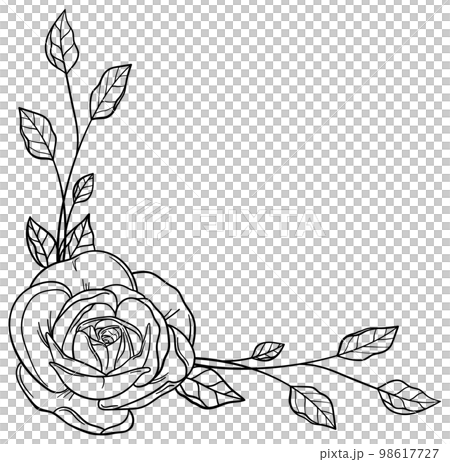 Botanical frames and corners of delicate plants and flowers Vector material Botanical frames and corners of delicate plants and flowers Vector material 98617727