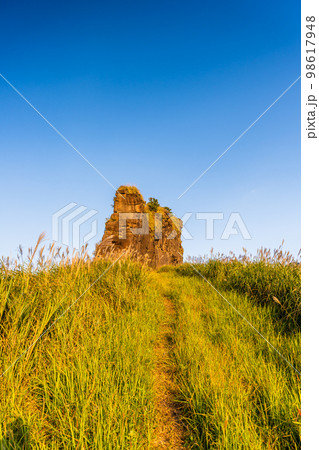 安山岩 「らくだ山 展望台・山頂周辺風景」 (阿蘇郡高森町) 安山岩 「らくだ山 展望台・山頂周辺風景」 (阿蘇郡高森町) 98617948