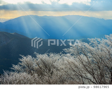 ちはや園地展望台からの金剛山の樹氷と天使の梯子 98617965