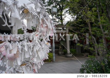 神社におみくじで願いを託す 98618209