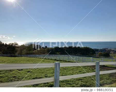 海が見える牧場の景色 98619351