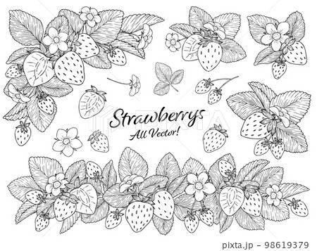 苺の線画ベクターイラストセット　白塗り 98619379