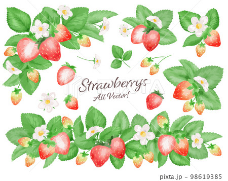 苺の水彩風ベクターイラストセット　主線なし 98619385