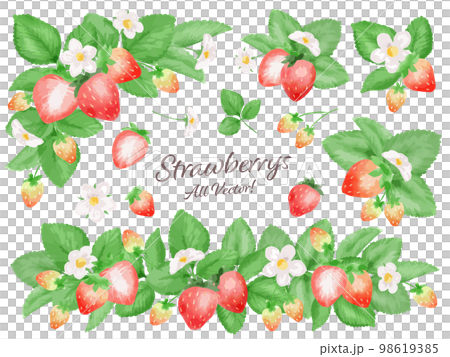 苺の水彩風ベクターイラストセット　主線なし 98619385