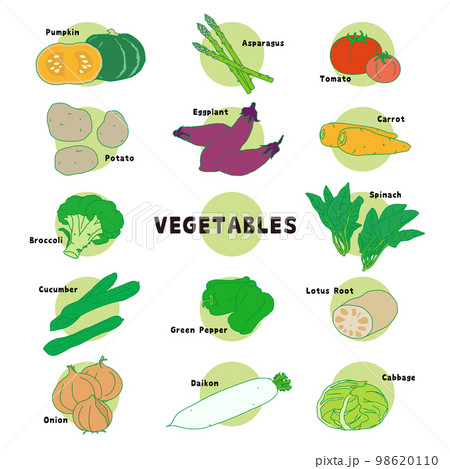 いろいろな野菜 98620110