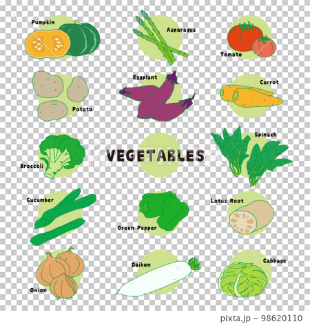 いろいろな野菜 98620110