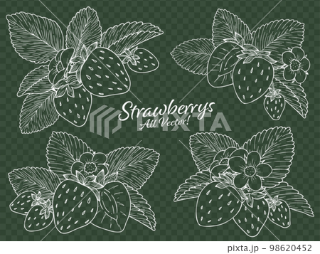 草莓線描矢量插圖集白線 98620452