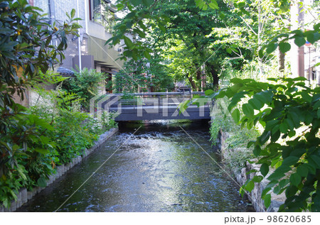 京都・高瀬川 98620685