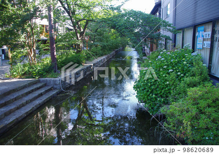 京都・高瀬川 98620689
