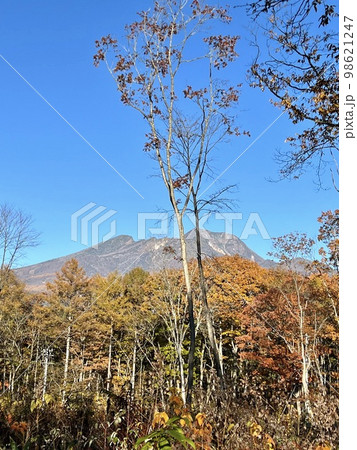 【長野県信濃町】10月の妙高山 98621247