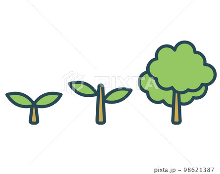 植物　成長 98621387