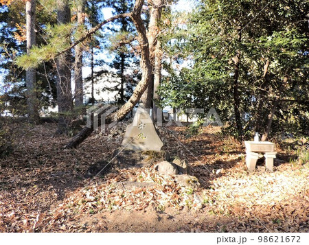 膳城跡　本丸 98621672