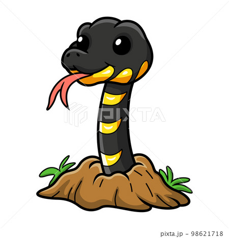 Cute happy mangrove snake cartoon out from hole Cute happy mangrove snake cartoon out from hole 98621718