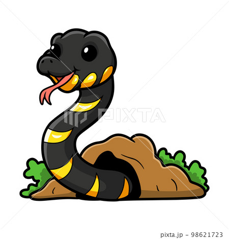 Cute happy mangrove snake cartoon out from hole Cute happy mangrove snake cartoon out from hole 98621723