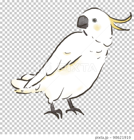 Left facing / cute illustration of a kiba Left facing / cute illustration of a kiba 98621919