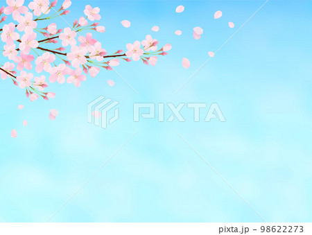 青空と桜の水彩タッチのベクターイラスト背景 98622273