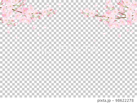 白バックの桜の水彩タッチのベクターイラスト 98622278