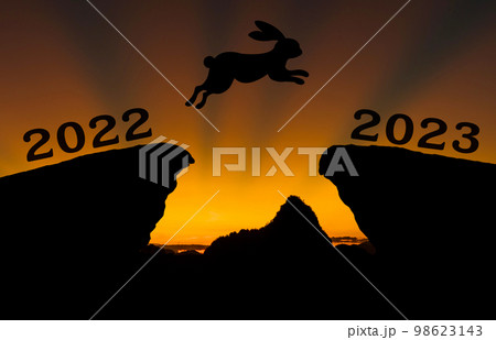 A cute new born rabbit jump between 2022 and 2023 years over the sun and through on the gap of hill  98623143
