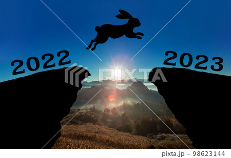 A cute new born rabbit jump between 2022 and 2023 years over the sun and through on the gap of hill A cute new born rabbit jump between 2022 and 2023 years over the sun and through on the gap of hill 98623144