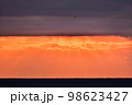 幻想的な夕焼け空と飛びゆくカモメ 98623427