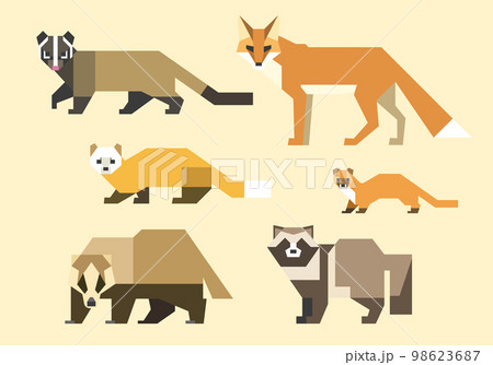 日本の生き物（キツネ、タヌキ、ハクビシン、アナグマ、テン、イタチ） 98623687