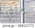 塀に掛けられた榊と紙垂の背景イメージ 98623775