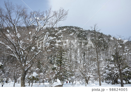 韓国 自然 風景 98624005