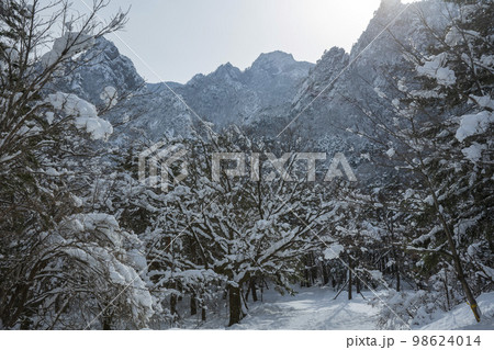 韓国 自然 風景 98624014