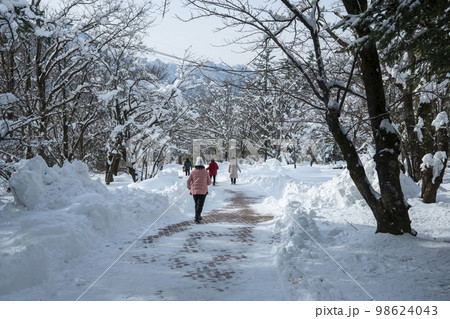 韓国 自然 風景 98624043
