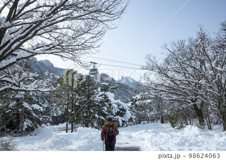 韓国 自然 風景 98624063
