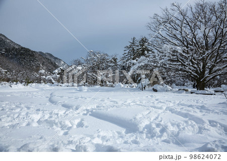 韓国 自然 風景 98624072