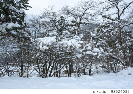 韓国 自然 風景 98624085
