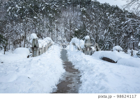 韓国 自然 風景 98624117