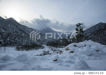 韓国 自然 風景 98624119