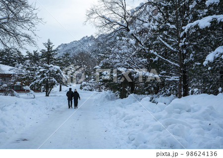 韓国 自然 風景 98624136