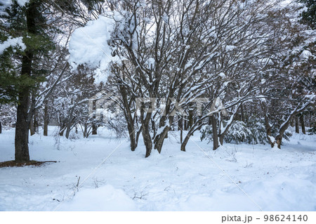韓国 自然 風景 98624140