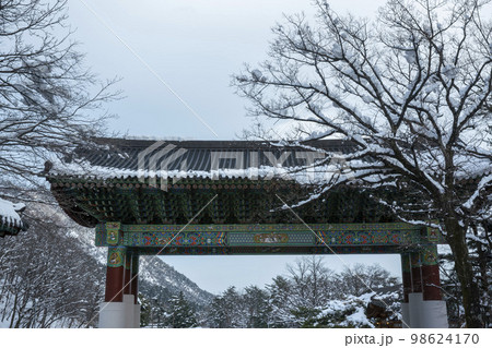 韓国 自然 風景 98624170