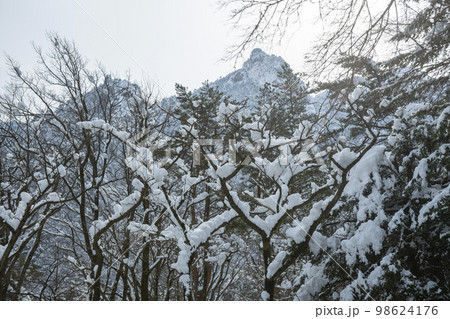 韓国 自然 風景 98624176