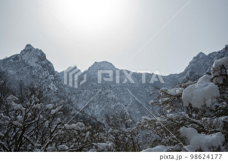 韓国 自然 風景 98624177