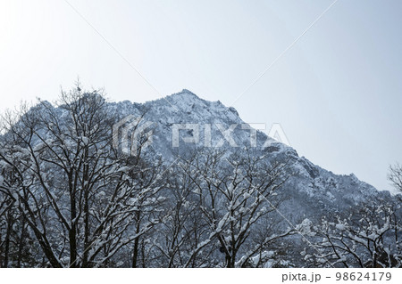 韓国 自然 風景 98624179