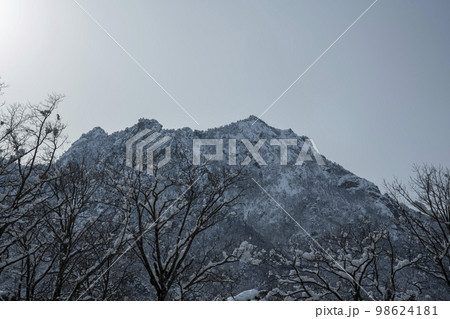 韓国 自然 風景 98624181