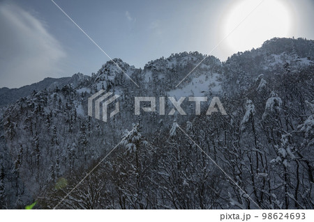 韓国 自然 風景 98624693