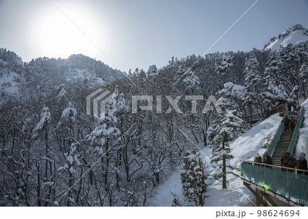 韓国 自然 風景 98624694