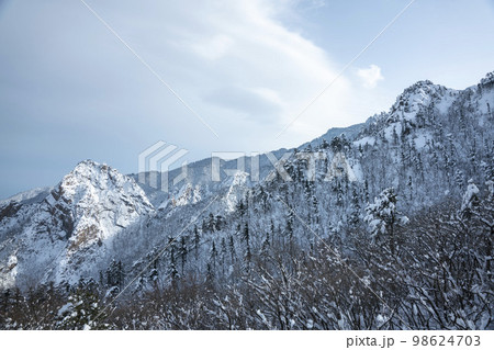 韓国 自然 風景 98624703