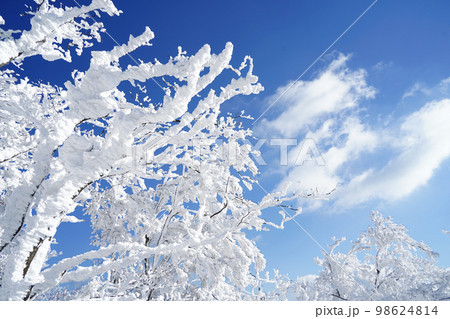 高見山 雪山 4 高見山 雪山 4 98624814