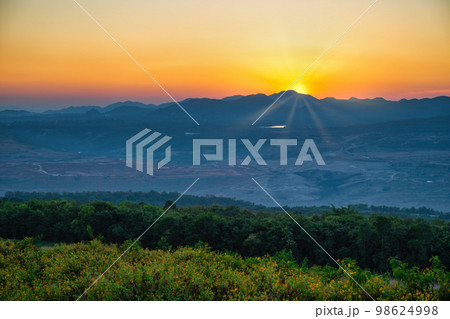Tropical forest nature landscape sunset view with mountain range and Mexican sunflower field at Mae Moh mine, Lampang Thailand Tropical forest nature landscape sunset view with mountain range and Mexican sunflower field at Mae Moh mine, Lampang Thailand 98624998