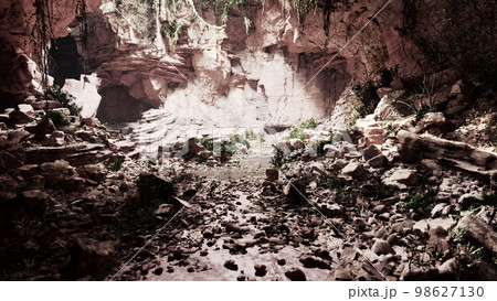 Trail in a Hawaiian rain forest leading to big cave 98627130